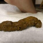 KBMS-049 私の汚いもの全部お見せいたします フェチ １１１３工房／妄想族