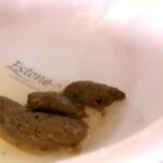 ODV-335 Ootsuka Furoppi- スカ系交際サイトで見つけた脱糞アクメ女 大塚フロッピー 浣腸 12 ODV-335 Ootsuka Furoppi- スカ系交際サイトで見つけた脱糞アクメ女 大塚フロッピー 浣腸