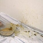 VSPD-027 女優6人の本物自宅無断公開！ 糞汁浣腸部屋汚し！！ 190分 V（ヴィ） Scat Hayama Minami, Yoshiihana Nashi, Sayana Serika