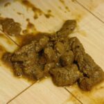 VSPD-043 排泄まる見え！ ヨダレ・汗・オシッコ・ウンコ垂れ流しキメ狂いオナニー… Masturbation Other Planning Slut Amateur Defecation