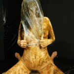 VXXD-013 Morikawa Konomi Ｖ５周年記念最新作 極・拷問 女糞逆さ緊縛中出しスカトロジー 飲尿 Golden Showers Cum