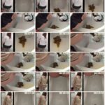 FF-032 盗覗 うんこ整腸記録 93分 脱糞 ジェイド