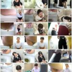SL-266 社内隠撮 OL大便記録5 新入社員入り 給湯室横トイレで気まずい排泄 Defecation ジェイド Voyeur