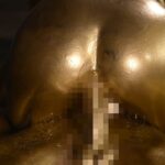 PHD-006 金粉大全集 弐巻 12人200分スペシャル！豪華絢爛女優たちのエロく輝く狂宴！ Humiliation 篠田あゆみ, 神波多一花, 森沢かな, 神納花