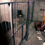 YLWN-006 巷で話題の人妻M女ヘルス研修現場に潜入実況中継！4時間 風俗 240分 若妻 YELLOW MOON
