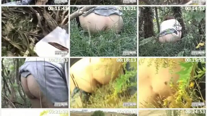 Screenshot 2 from DNO-08 Real Hidden Recording: Wild Orgy 8 Other Voyeur Scat Nude