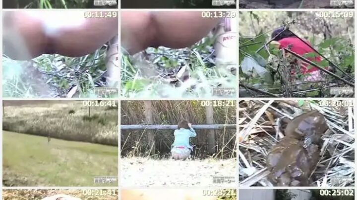 Screenshot 3 from DNO-08 Real Hidden Recording: Wild Orgy 8 Other Voyeur Scat Nude