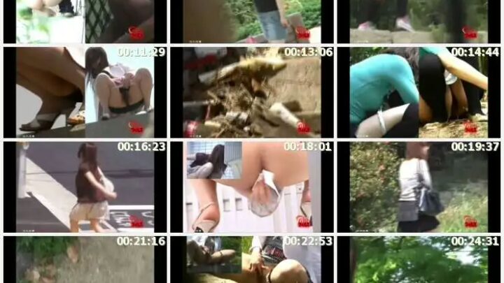 Screenshot 4 from F41-01 Defecation 2 Camera Clovaticque Nojoshin Nojou Other Voyeur Scat Hidden Camera