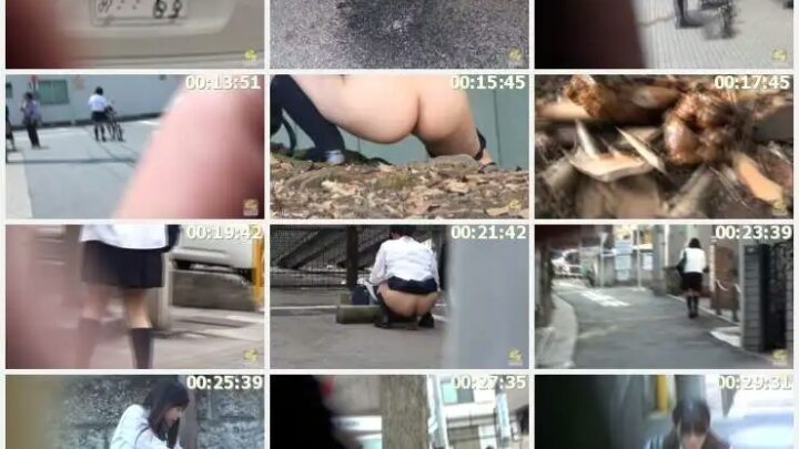 Screenshot 3 from PM-158 Jade Scat Outdoor Copulation 13 Defecation School Girls