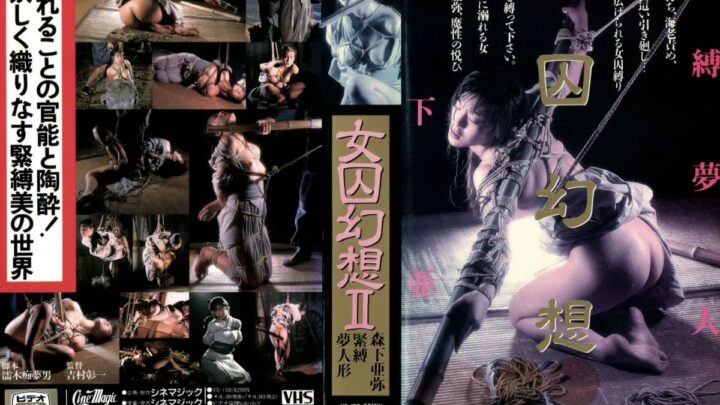 VS-159 Mori Shita Aya: Female Fantasy 2 – Cinematic Dream Figure