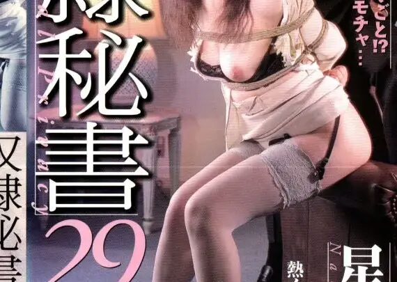 Screenshot 1 from VS-584 Hoshi Naomi ABNORMAL PRIVACY Diary 29: Rinka, Eime and Others SM