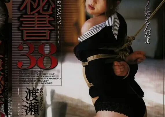 Screenshot 1 from VS-696 Watase Akira ABNORMAL PRIVACY Secret Diary 38 SM and Other SM 60 Minutes Cinematic
