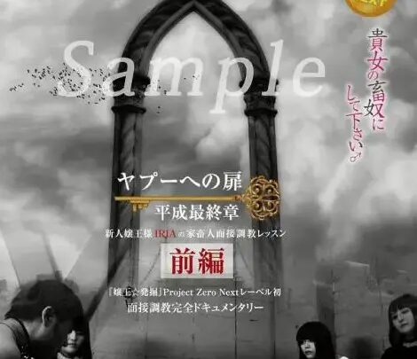 ZRND-07 Yappari no Hiyaku: Heisei Saishuu Shou – Newbie Submissive King IRIA’s Home Tutoring Session ~ Part 1: Female King Iria, M Male, Yappari Market のスクリーンショット 1