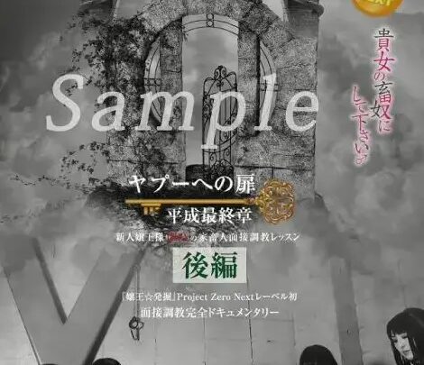 ZRND-08 Yapoo to the Home: Heisei Final Chapter ~ New Sensation King Iria’s Home Visit Interview Lesson, Part 2: Queen-Type M-Man, Face Sitting, Audition Humiliation のスクリーンショット 1