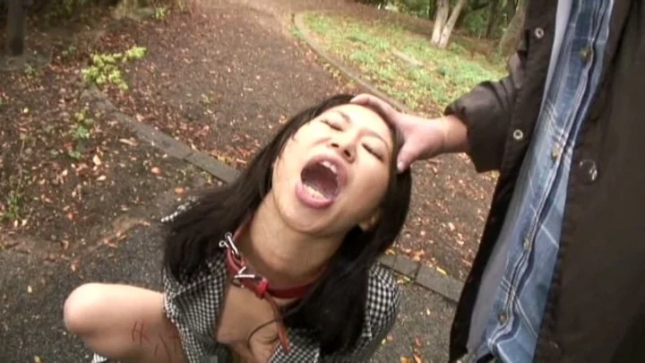 Screenshot 13 from ETC-83 户外暴露：Tantsubou 厕所发脾气、肛交、束缚、尿恋以及其他暴露狂欢