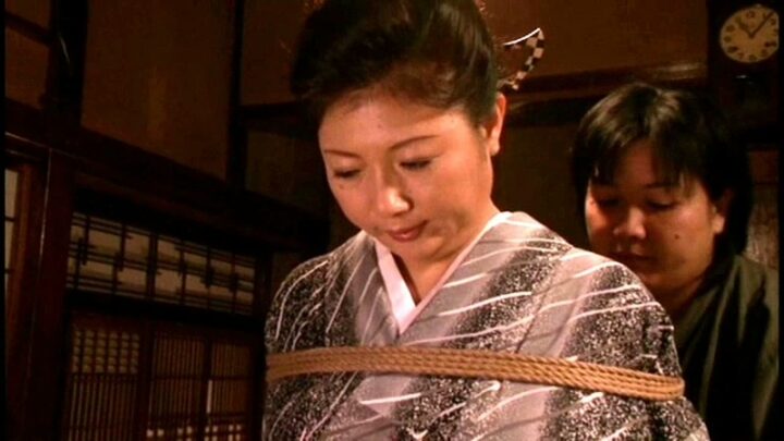 Screenshot 20 from DSE-579 Shiroishi Reiko: 19 Restraints