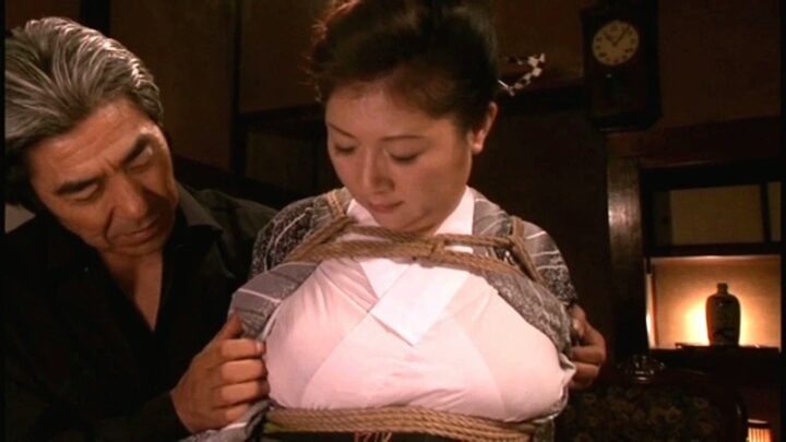 Screenshot 18 from DSE-579 Shiroishi Reiko: 19 Restraints