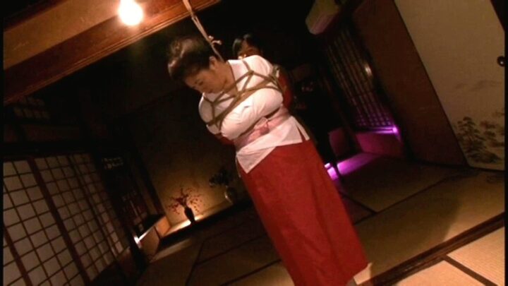 Screenshot 16 from DSE-579 Shiroishi Reiko: 19 Restraints