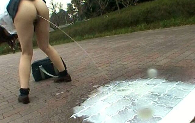 Screenshot 15 aus DANDY-044 Ootsuka Minami, Takada Arisa 'Von den Profis lernen: Sexuelle Aufklärung für Oberschülerinnen im Freien'