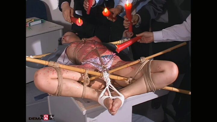 Screenshot 2 from SDMS-422 Soft On Demand: Sobarashiki Nihon no Shokumon SM Planning