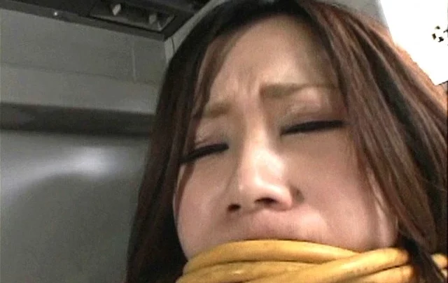 Screenshot 20 aus SDMS-428 Brüste Acme Kostüm 2 - Kawashima Yuu und Andere