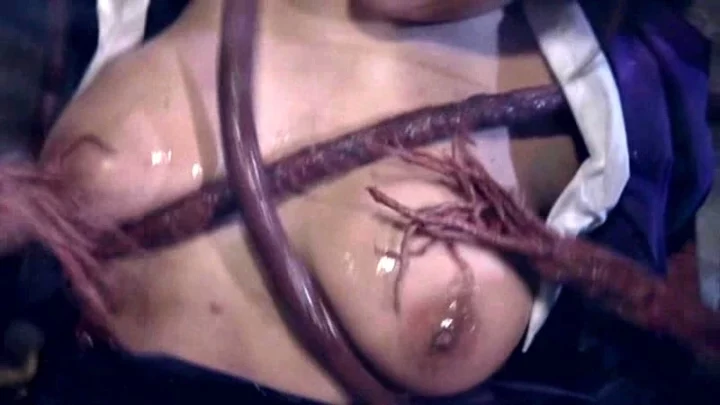 Screenshot 21 from SDMT-906 터치 아크메 13: 큰 가슴의 사쿠라자와 아이 vs. 코스프레 소녀들