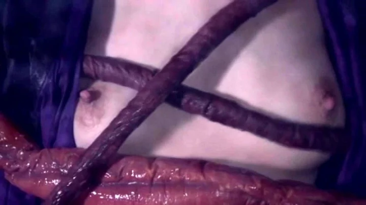 Screenshot 13 from SDMT-906 터치 아크메 13: 큰 가슴의 사쿠라자와 아이 vs. 코스프레 소녀들