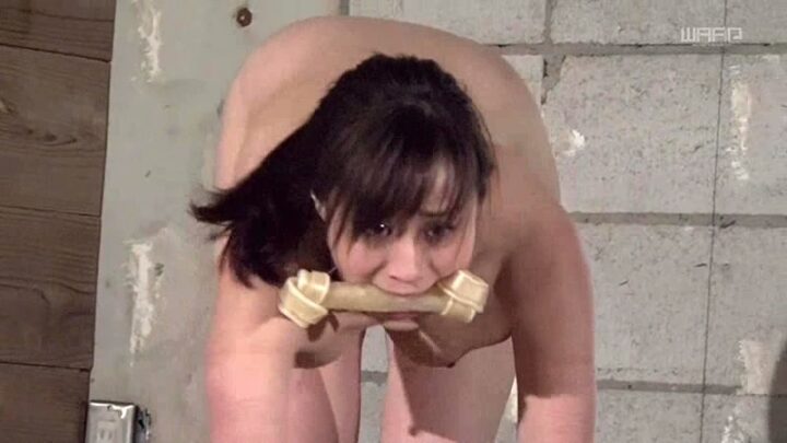 Screenshot 8 from DPKA-002 川上優 BDSM 日本 川上優 萌