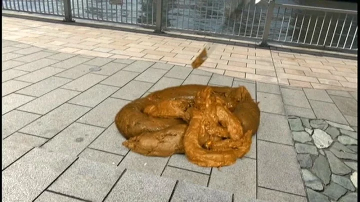 PSD-024 巨大女性のスカトロ、グループセックス、糞便およびその他のフェティッシュ のスクリーンショット 19