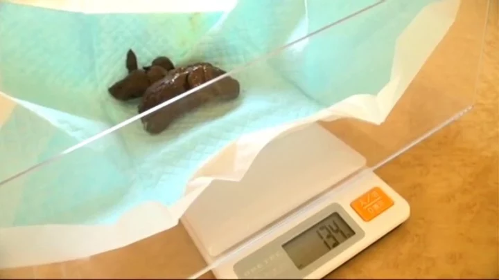STD-404 うんち購入ホール 2: あなたのうんちを100g 1000円で買いますので、お願いします！妊婦: 西園アミ、妊娠中の妻 のスクリーンショット 9
