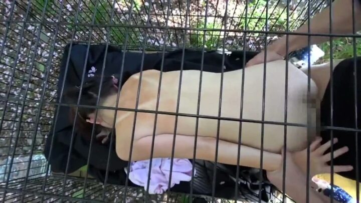 Screenshot 3 from IBW-791: A Beautiful Girl Returning from the Pool Is Taken to a Wilderness for Outdoor Rape – I.b.works