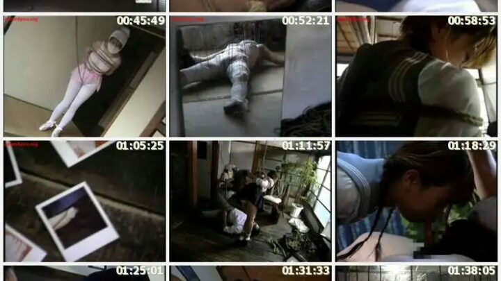 Screenshot 22 from Visual Orgasm 38 : Dreamryu ZOU Reina SM 125 Minutes