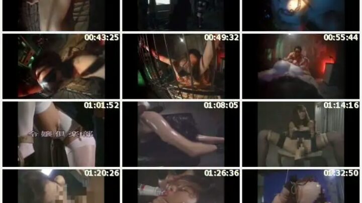 Screenshot 12 aus ADVO-147 Asano Ai: Temptation 2+α, Musou Zou, Forbidden & Captivity ArtVideo SM