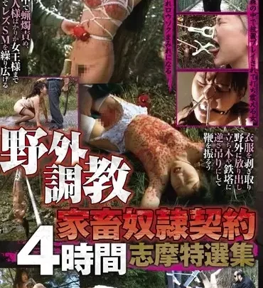 Screenshot 1 from AXDVD-0120R Wild Outdoor Sex Tutor Kikuyo Neki 4-Hour Zenith Special Collection: Outdoor Exposure Lesbian SM Omnibus