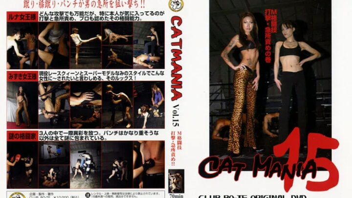 CAT MANIA 15 BOTE Prospetto