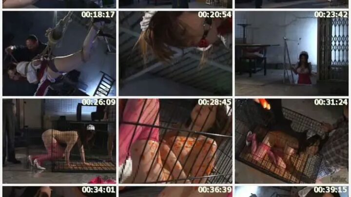Screenshot 3 from 주인님, 오늘의 메뉴를 가르쳐 주세요. 사토 메구미 제작 SM 결박