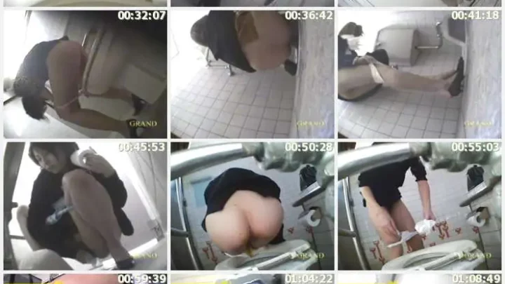 Screenshot 2 from DGJB-02: Forbidden Aunt Toilet Voyeur – Mirai Fuccha