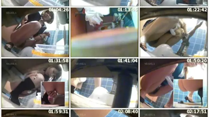 Screenshot 2 aus DYKS-01 Versteckte Aufnahme: Toiletten-Skala