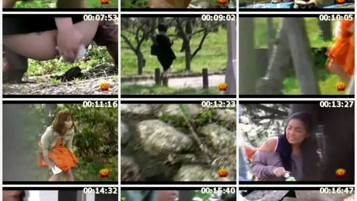 Screenshot 3 from E2-11 Spring! Wild Scat! Hanami Party and Other Scat, Fetish, Voyeur, Evo-Virtual