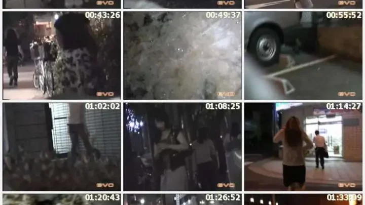 Screenshot 2 from E22-01 Great Failure of a Drunk Woman: Street Guro, Street Underground, Street Gero 1 – Submission, Voyeurism, Scat, Ebo-Virtual