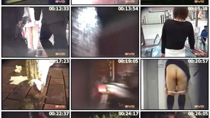 Screenshot 4 from E22-02 ジェイド 泥酔女の失態集 街グソ・街下痢・街ゲロ ２ Voyeur Defecation
