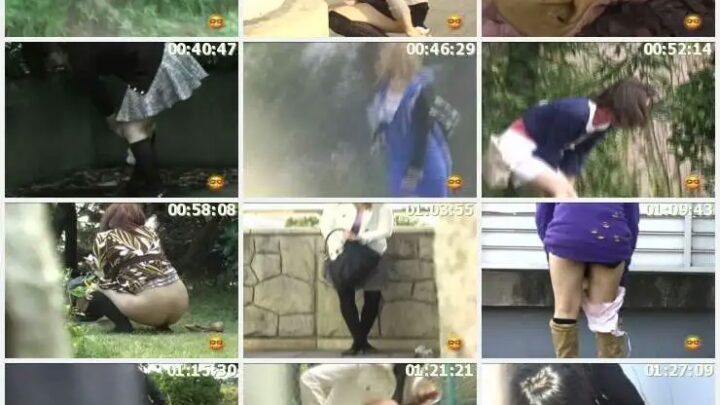 Screenshot 2 from E31-03 Gokusho: Omo-rashi Shippai, Yasei, Yaseinu 3, Sono Ta Tōsatsu, Scat, Tōhitsu