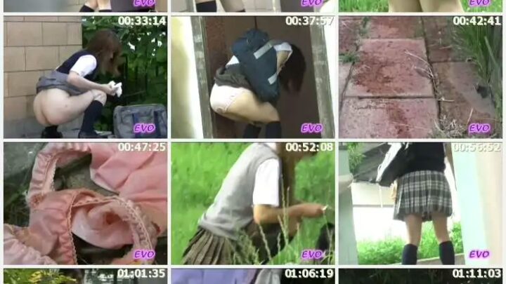 Screenshot 2 aus E42-01 Öffentliche Toilette: Schulmädchen-Pinkelei, Voyeur-Goldene Duschen, Schwuler Kot