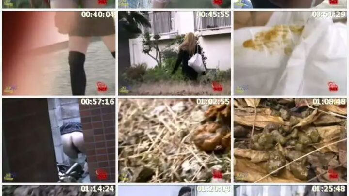Screenshot 2 from F15-19 玉石：極限角度美與色情臀部，嘻哈臀部鍛煉 3，其他排泄，排泄（癖好）
