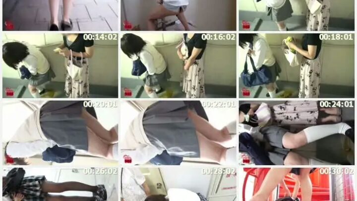 Screenshot 2 from FF-288 Toilet In-Train Journey: Unko Overflowing Woman! 2 – Jade Defecation