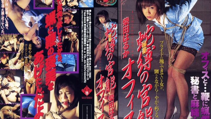 JB-021 Shibata Haruka: Erotic Office of the Secretary Jabaku Attackers Rape