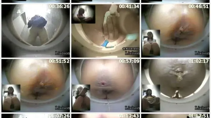 Screenshot 2 from LFTD-001 名人排便 1 Riezon 厕所 (盗版)