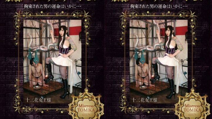 MHD-073 Mitsuki An: Education into Depravity, The Fate of a Captured Man at QUEENSVIDEO Mistress Tomika