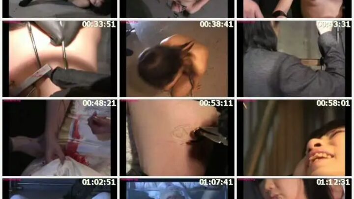 Screenshot 2 from MKDD-003 Extrême : Belle Fille Exposition de Douleur Intense 3 - Culottes, Chat, Suspension