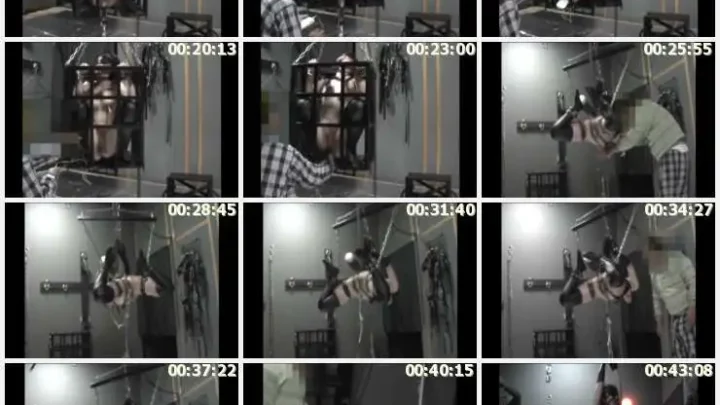 Screenshot 2 from P-0006 Private Revolution Restrained Series #6